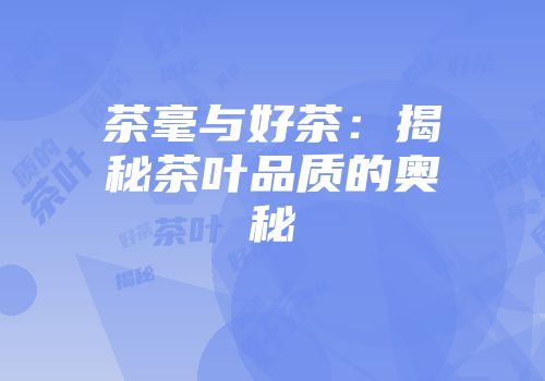 茶毫与好茶：揭秘茶叶品质的奥秘