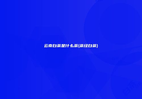 云南白茶是什么茶(茶经白茶)