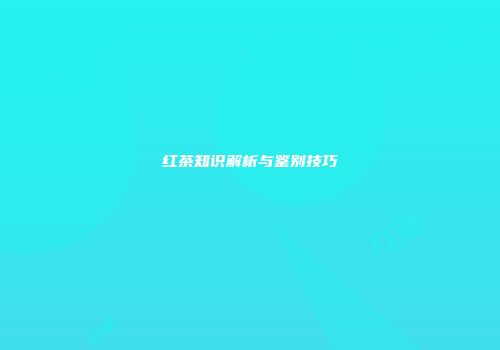 红茶知识解析与鉴别技巧
