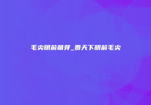 毛尖明前萌芽_贵天下明前毛尖