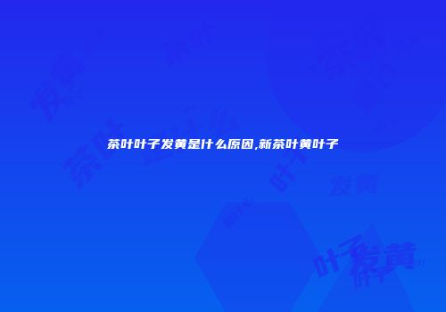 茶叶叶子发黄是什么原因,新茶叶黄叶子