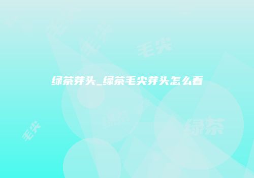 绿茶芽头_绿茶毛尖芽头怎么看