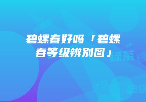 碧螺春好吗「碧螺春等级辨别图」