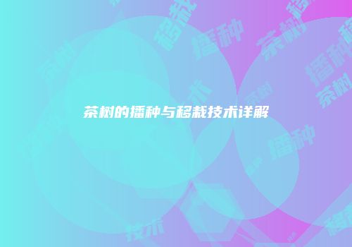 茶树的播种与移栽技术详解