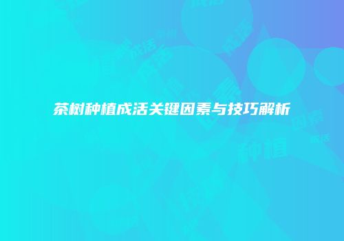 茶树种植成活关键因素与技巧解析