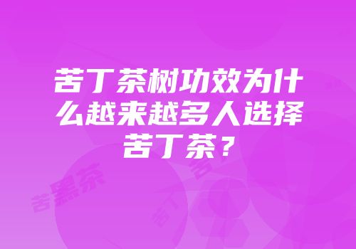 苦丁茶树功效为什么越来越多人选择苦丁茶？