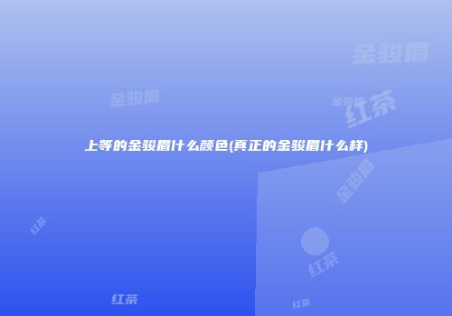 上等的金骏眉什么颜色(真正的金骏眉什么样)