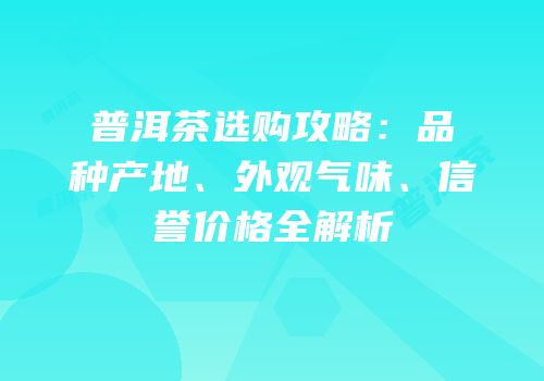 普洱茶选购攻略：品种产地、外观气味、信誉价格全解析