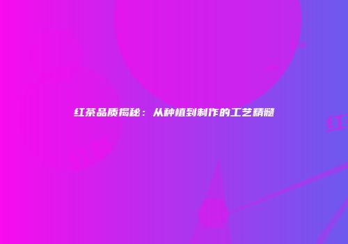 红茶品质揭秘：从种植到制作的工艺精髓