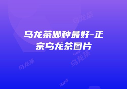 乌龙茶哪种最好-正宗乌龙茶图片