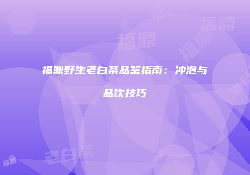 福鼎野生老白茶品鉴指南：冲泡与品饮技巧