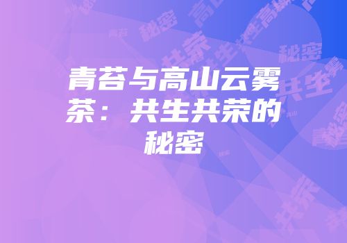 青苔与高山云雾茶：共生共荣的秘密