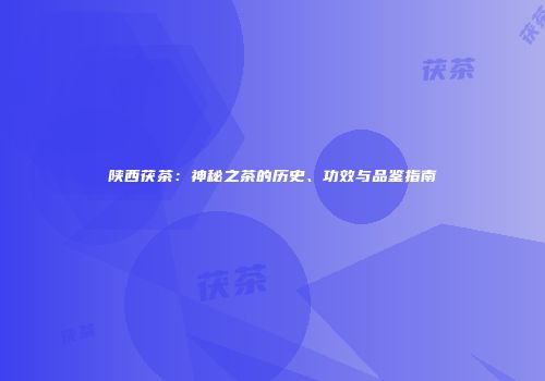 陕西茯茶：神秘之茶的历史、功效与品鉴指南