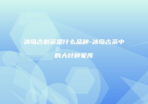 冰岛古树茶是什么品种-冰岛古茶中的大叶种蒙库