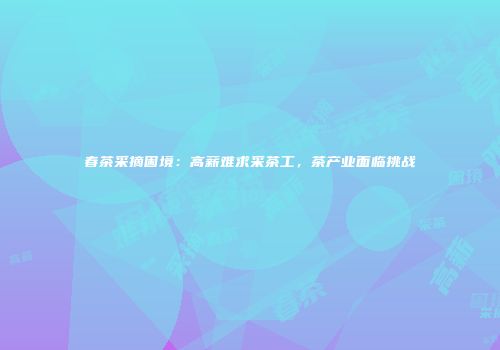 春茶采摘困境：高薪难求采茶工，茶产业面临挑战