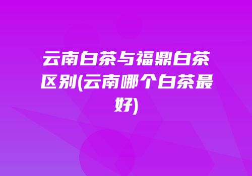云南白茶与福鼎白茶区别(云南哪个白茶最好)