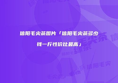 信阳毛尖茶图片「信阳毛尖茶多少钱一斤性价比最高」