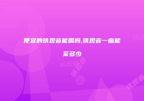 便宜的铁观音能喝吗,铁观音一亩能采多少