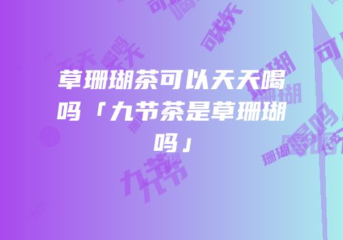 草珊瑚茶可以天天喝吗「九节茶是草珊瑚吗」