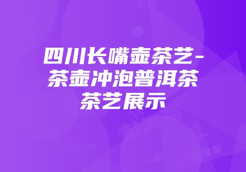四川长嘴壶茶艺-茶壶冲泡普洱茶茶艺展示