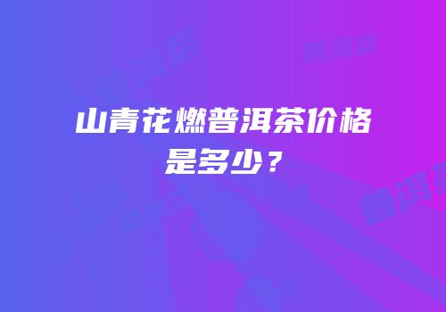 山青花燃普洱茶价格是多少？