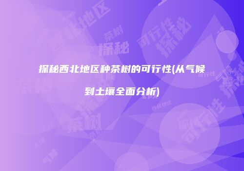 探秘西北地区种茶树的可行性(从气候到土壤全面分析)