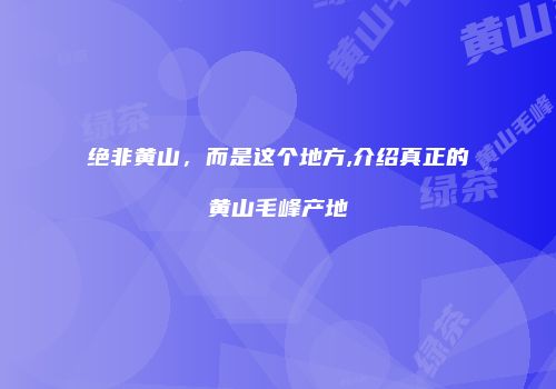 绝非黄山，而是这个地方,介绍真正的黄山毛峰产地