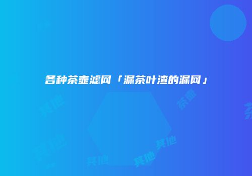 各种茶壶滤网「漏茶叶渣的漏网」