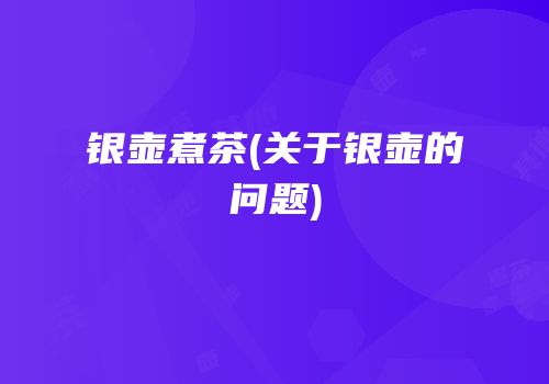 银壶煮茶(关于银壶的问题)