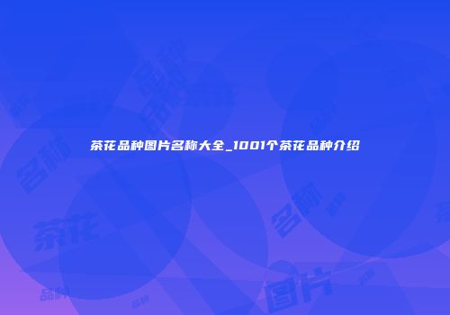 茶花品种图片名称大全_1001个茶花品种介绍