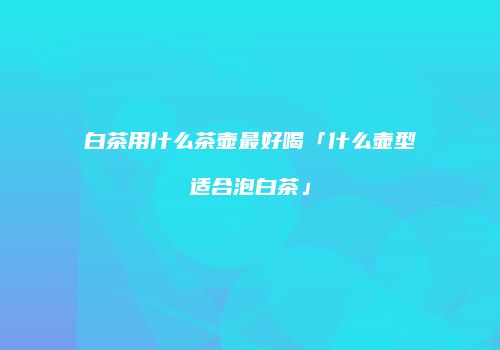 白茶用什么茶壶最好喝「什么壶型适合泡白茶」
