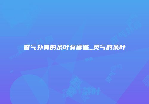 香气扑鼻的茶叶有哪些_灵气的茶叶