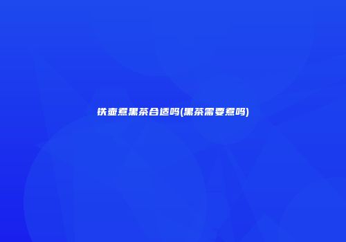 铁壶煮黑茶合适吗(黑茶需要煮吗)