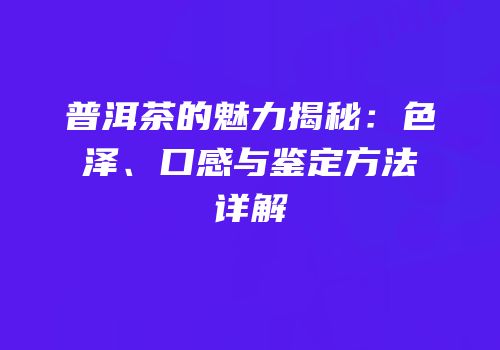 普洱茶的魅力揭秘：色泽、口感与鉴定方法详解