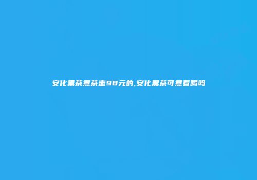 安化黑茶煮茶壶98元的,安化黑茶可煮着喝吗