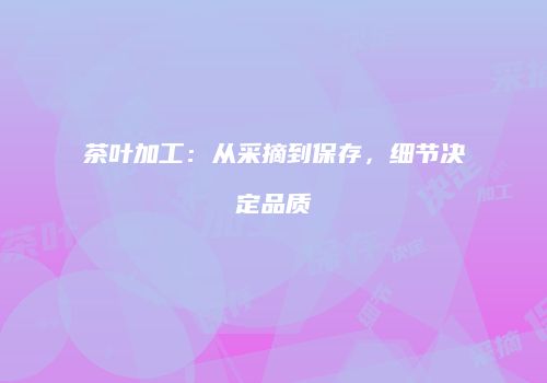 茶叶加工：从采摘到保存，细节决定品质