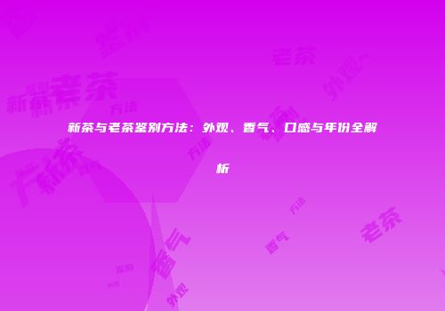 新茶与老茶鉴别方法：外观、香气、口感与年份全解析