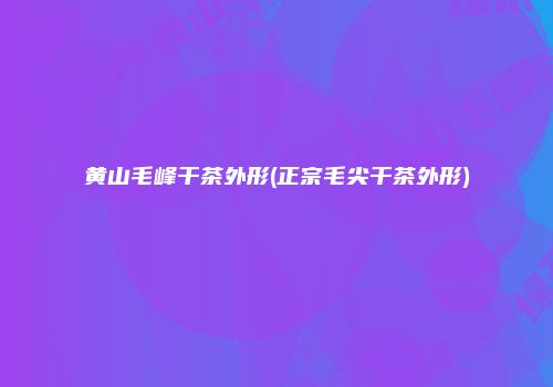 黄山毛峰干茶外形(正宗毛尖干茶外形)