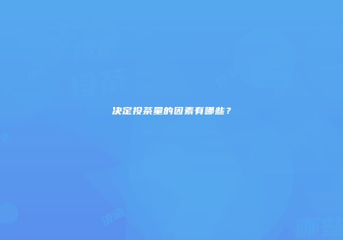 决定投茶量的因素有哪些？