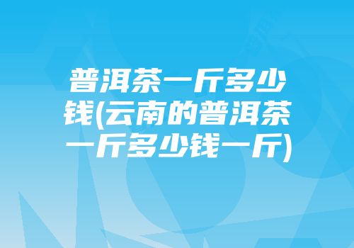 普洱茶一斤多少钱(云南的普洱茶一斤多少钱一斤)