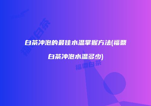 白茶冲泡的最佳水温掌握方法(福鼎白茶冲泡水温多少)