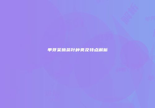单芽采摘茶叶种类及特点解析