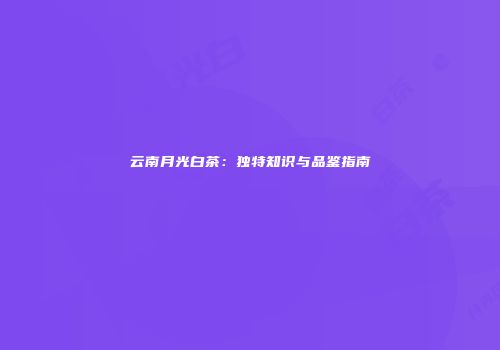 云南月光白茶：独特知识与品鉴指南