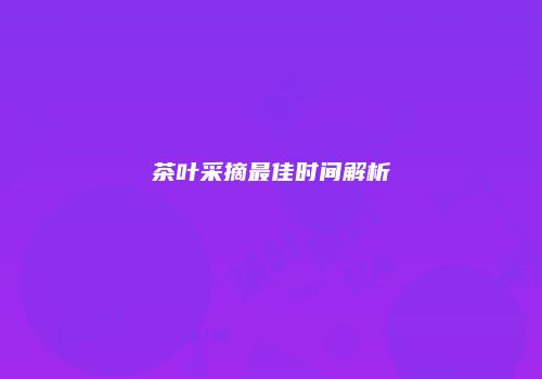 茶叶采摘最佳时间解析