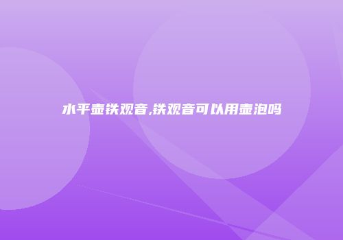 水平壶铁观音,铁观音可以用壶泡吗