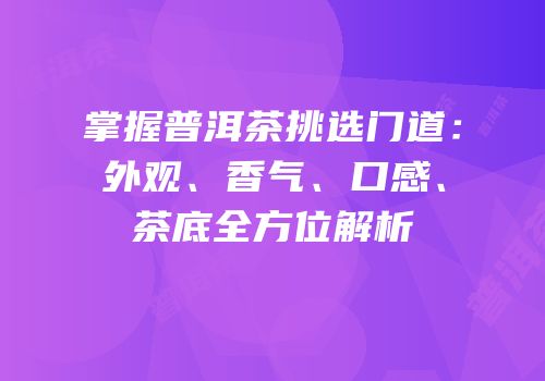 掌握普洱茶挑选门道：外观、香气、口感、茶底全方位解析