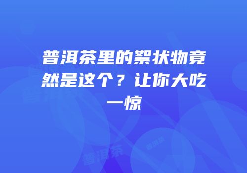 普洱茶里的絮状物竟然是这个？让你大吃一惊