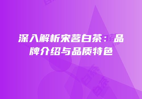 深入解析宋茗白茶：品牌介绍与品质特色