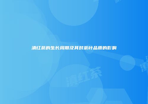 滇红茶的生长周期及其对茶叶品质的影响