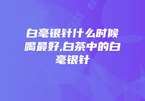 白毫银针什么时候喝最好,白茶中的白毫银针
